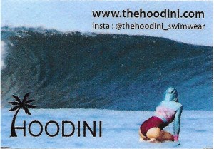 Hoodini Image - small