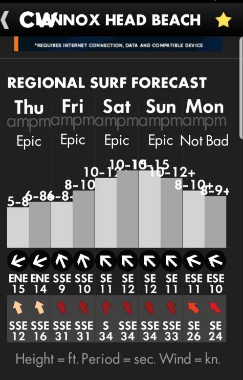 52602735_303454727019886_5126938723644080128_n